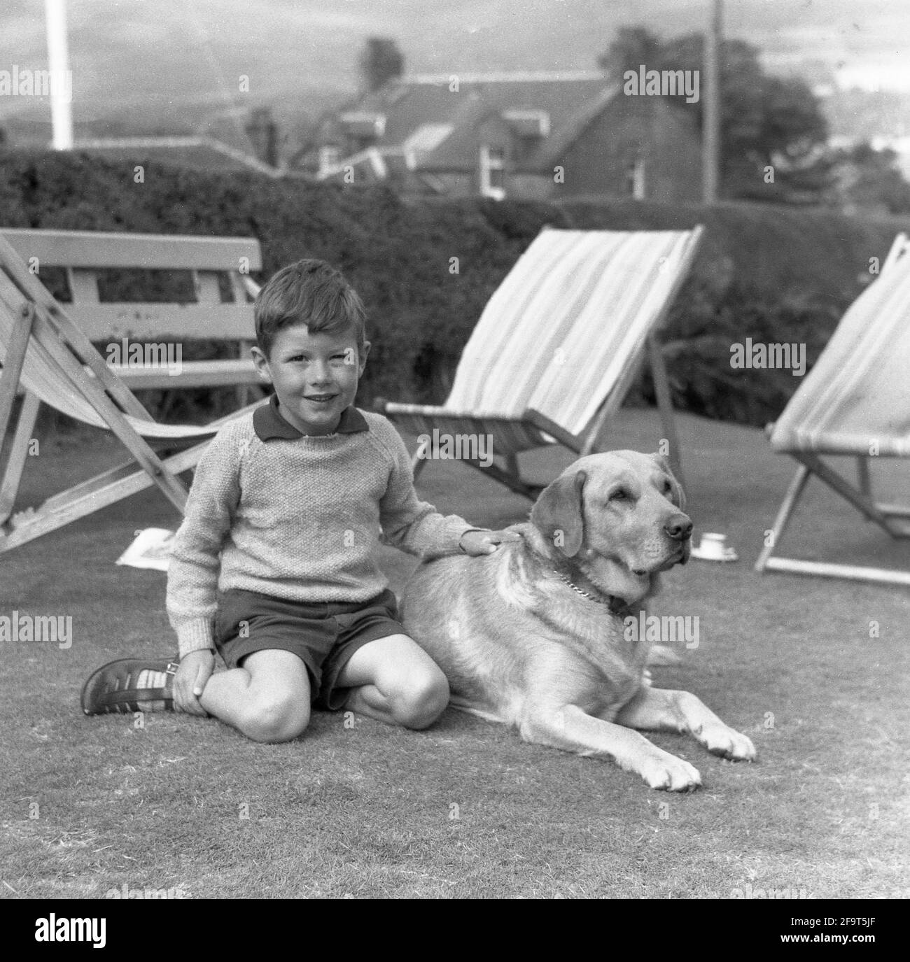 1967, historical, a young boy sitting on a lawn with a Labrador retriever dog.  Labradors are a popular pet, being a friendly companion, loyal, patient and are not aggressive, great as a family pet. There are many benefits for children in caring for a dog, including helping develop their self-esteem, learning responsibility and empathy. There are also the health aspects of walking a dog outside and they to build up a stronger immune system. Stock Photo