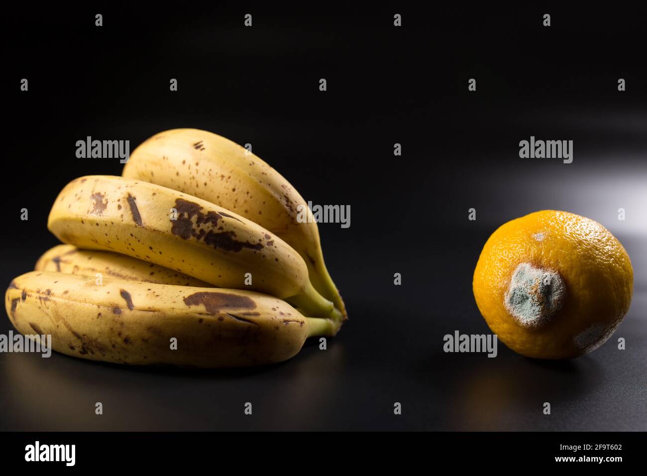 Moldy bananas hires stock photography and images Alamy