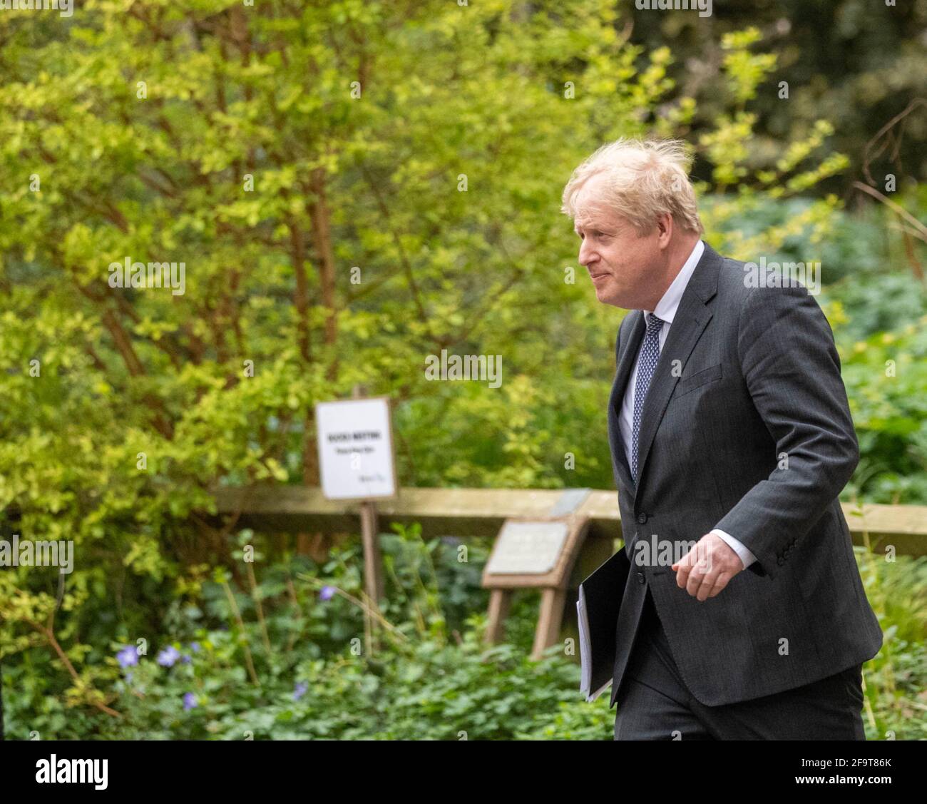 London, UK. 20th Apr, 2021. Boris Johnson, MP Prime Minister, returns to 10 Downing Street, London after his covid press conference. Credit: Ian Davidson/Alamy Live News Stock Photo