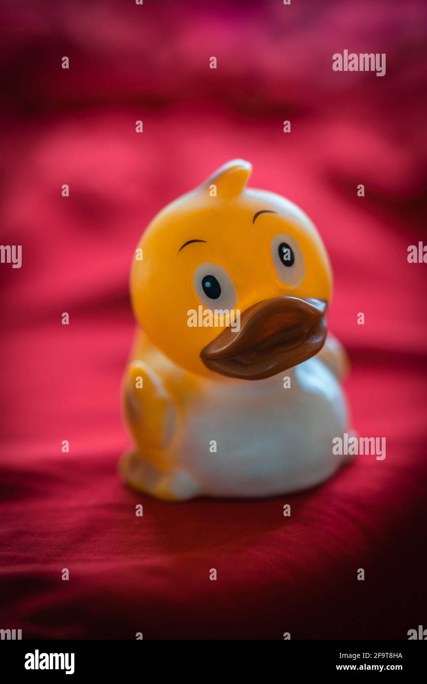 Cute yellow rubber duck toy against pink background Stock Photo