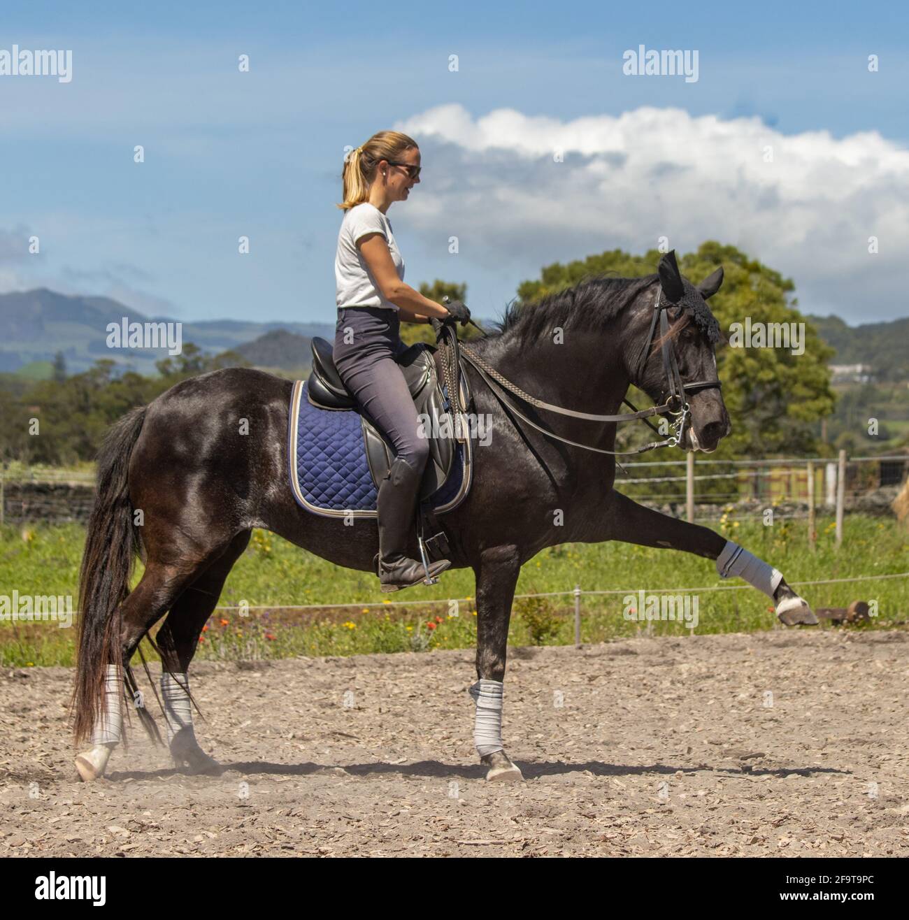 Woman Riding Lusitano Horse Outdoors With Great Weather At Azores woman-riding-lusitano-horse-outdoors-with-great-weather-at-azores