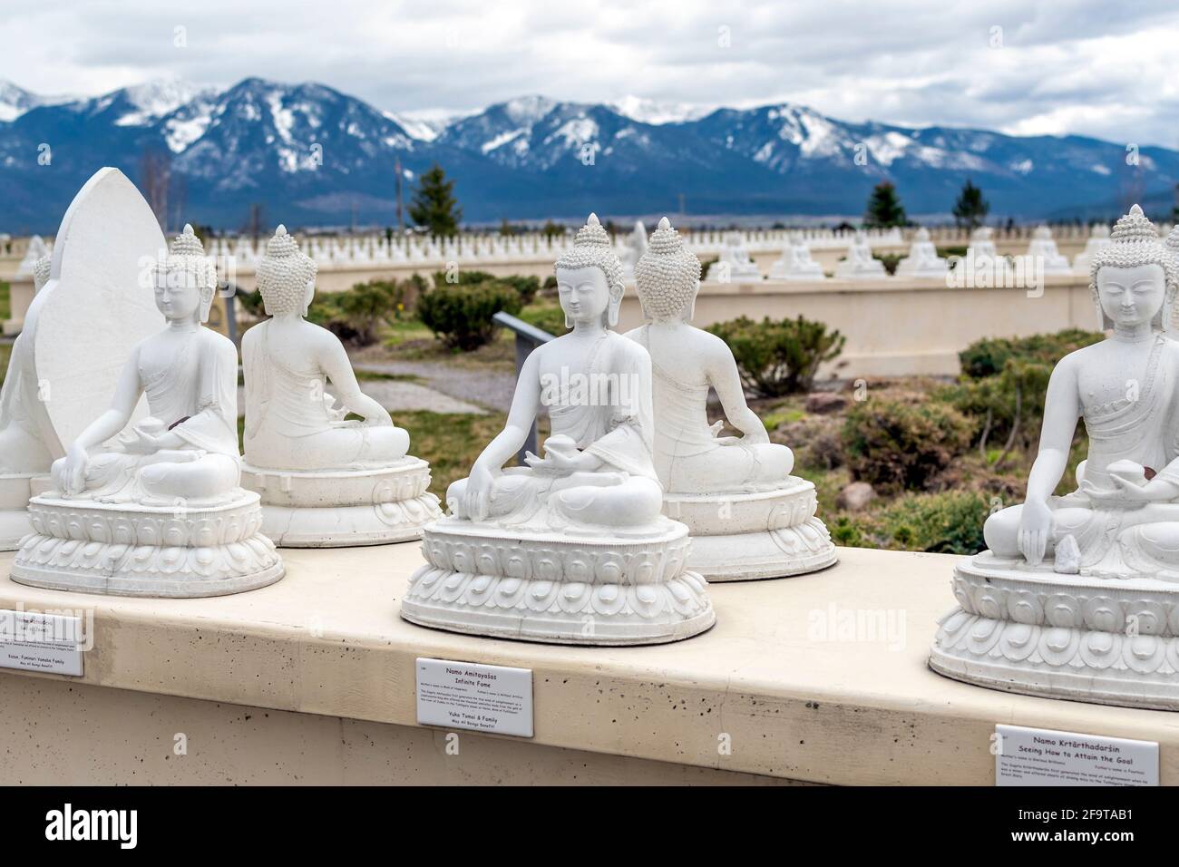 Rows of Buddhas line up with the snow covered mountains of Montana behind at the Garden of One Thousand Buddhas. Stock Photo