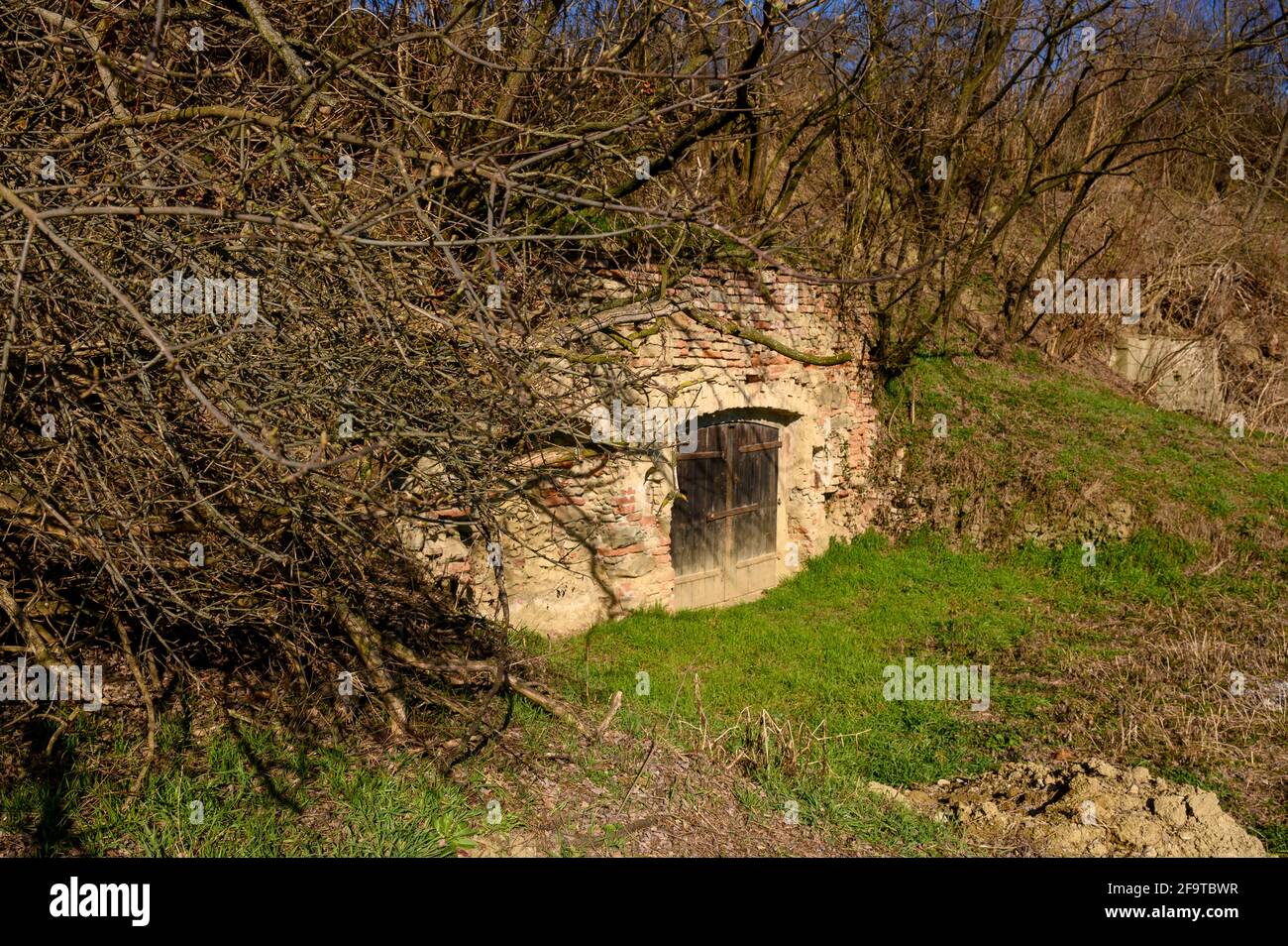 A typical wine cellar in the Lower Austrian Weinviertel. Stock Photo