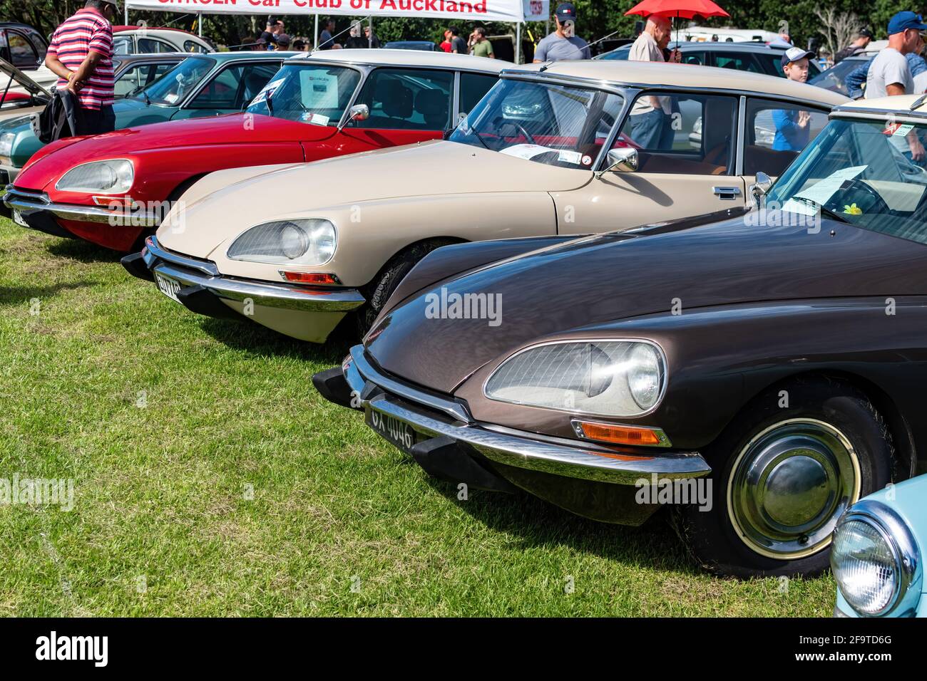 Citroën DS Classic Cars for Sale - Classic Trader