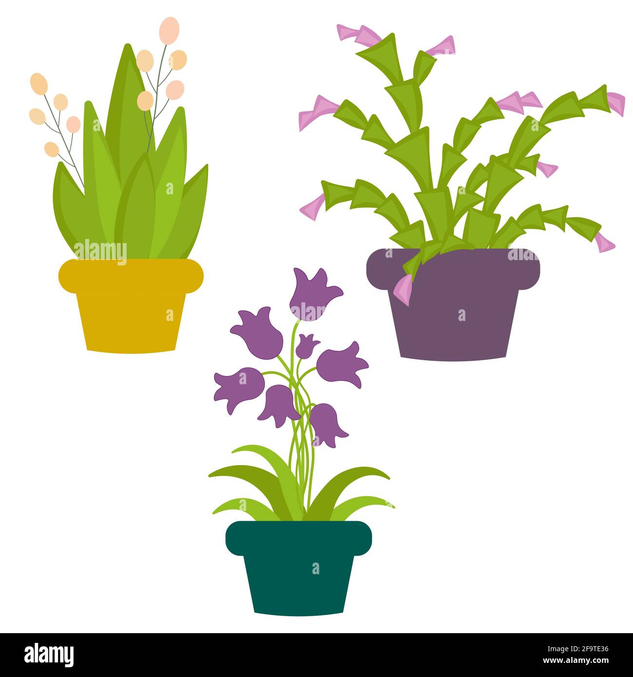 Houseplants in pots. A set of three different flowers Stock Vector