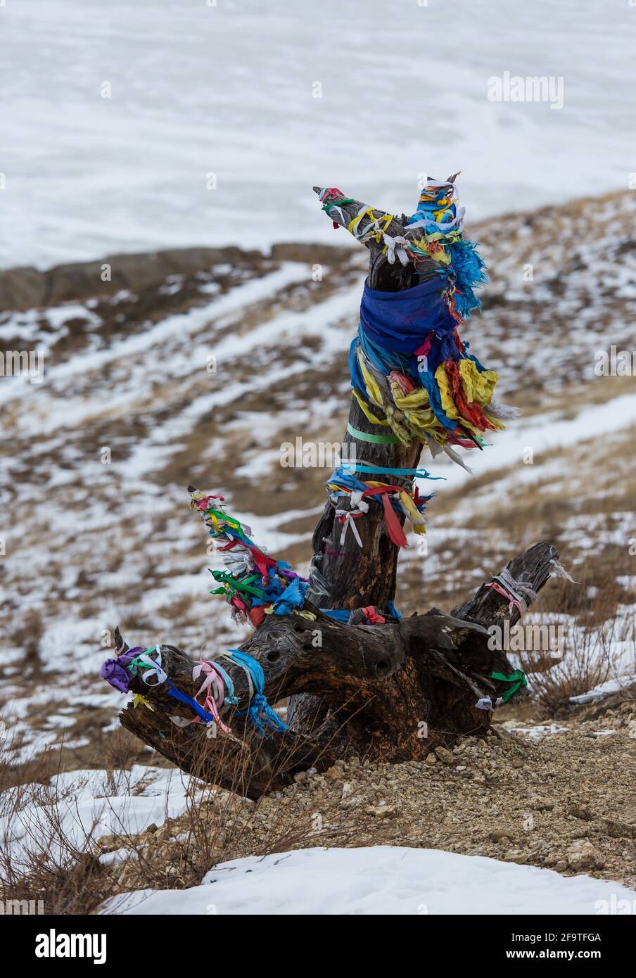 Colored ritual ribbons tied on the tree and wooden poles as a buddhist ...