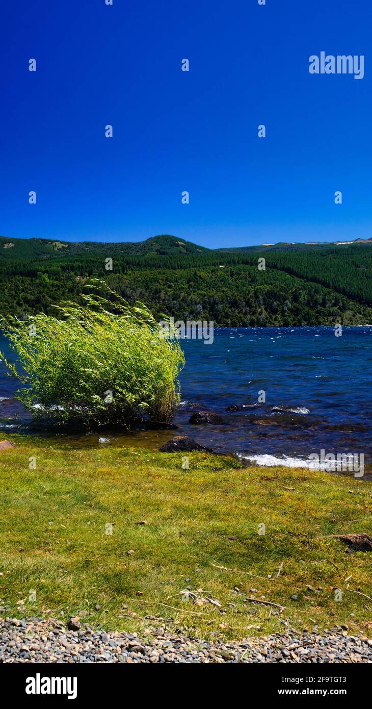 Lake Lolog landscape on a summer warm afternoon under a blue sky. San Martin de los Andes, Neuquen, Argentina Stock Photo