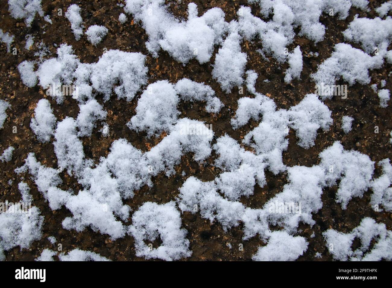 Snow sticking to an brown wall. Abstract background. Stock Photo