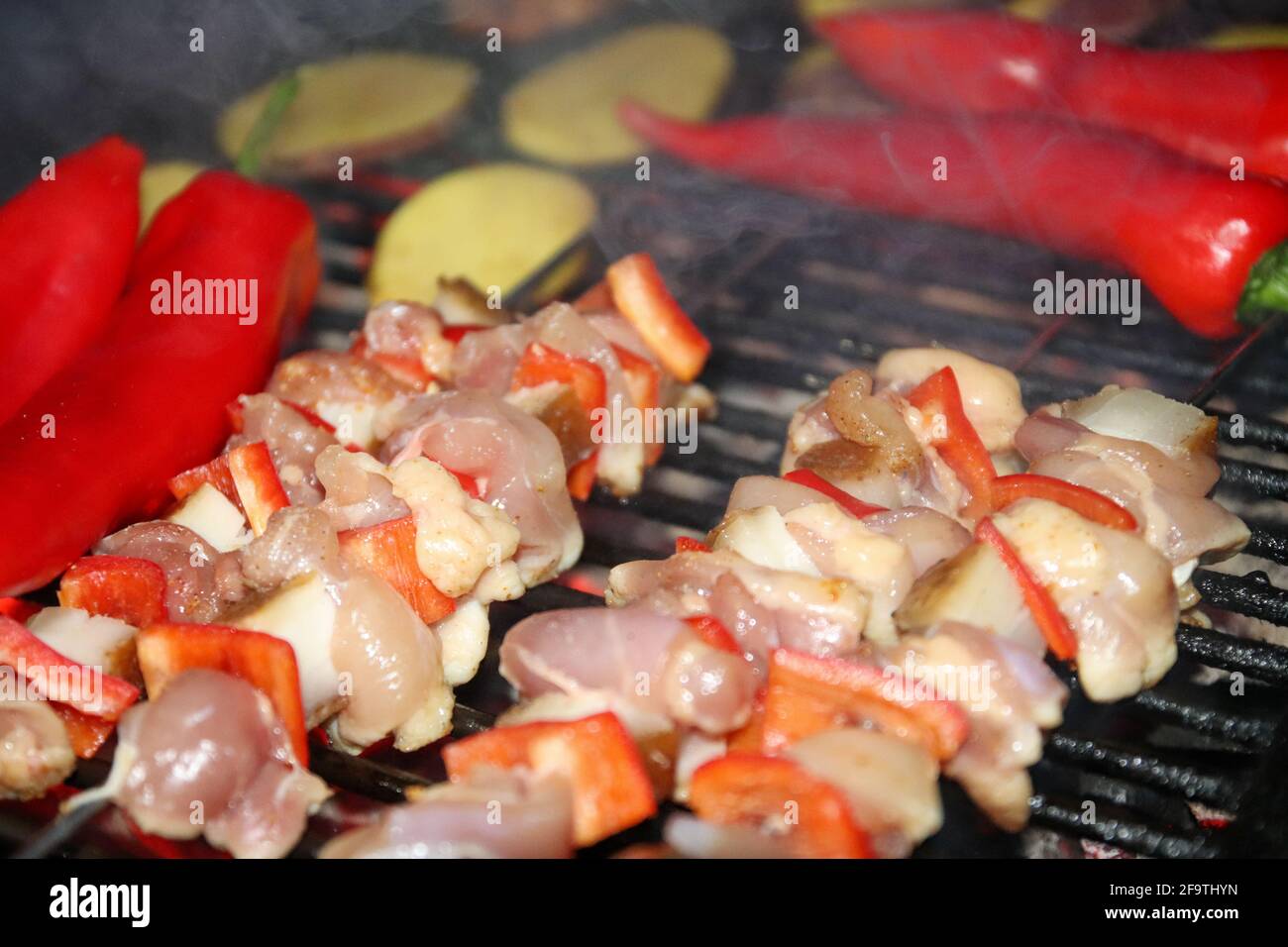 Grilled chicken skewers with fresh vegetables. Stock Photo