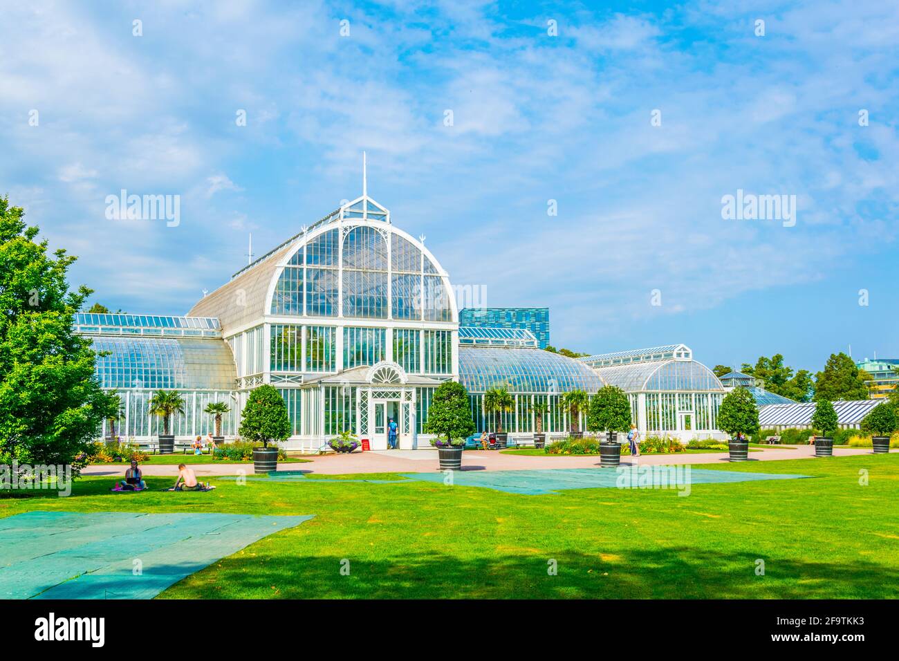 The palm greenhouse at the Garden Society of Gothenburg in Sweden Stock Photo Alamy