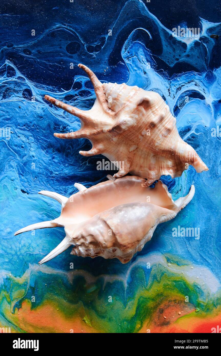 Seashells on a bright background. Acrylic Pouring Stock Photo