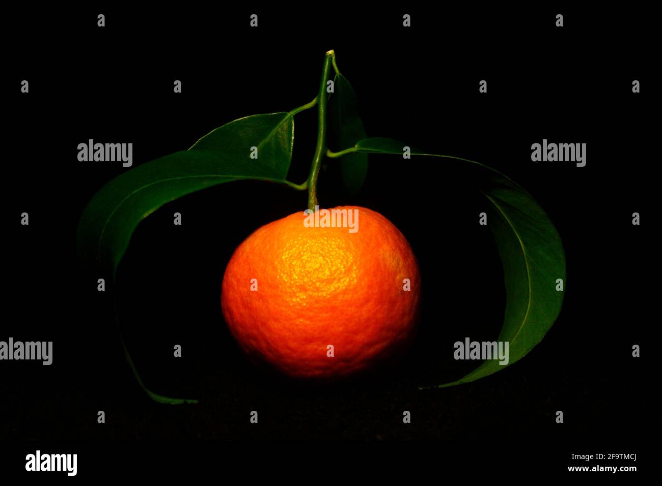 a tangerine with three leaves isolated on black Stock Photo