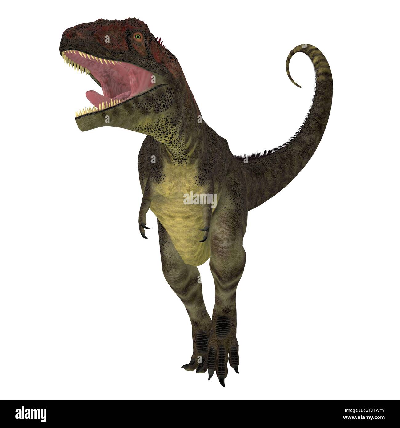 Mapusaurus was a carnivorous theropod dinosaur that lived in Argentina during the Cretaceous Period. Stock Photo