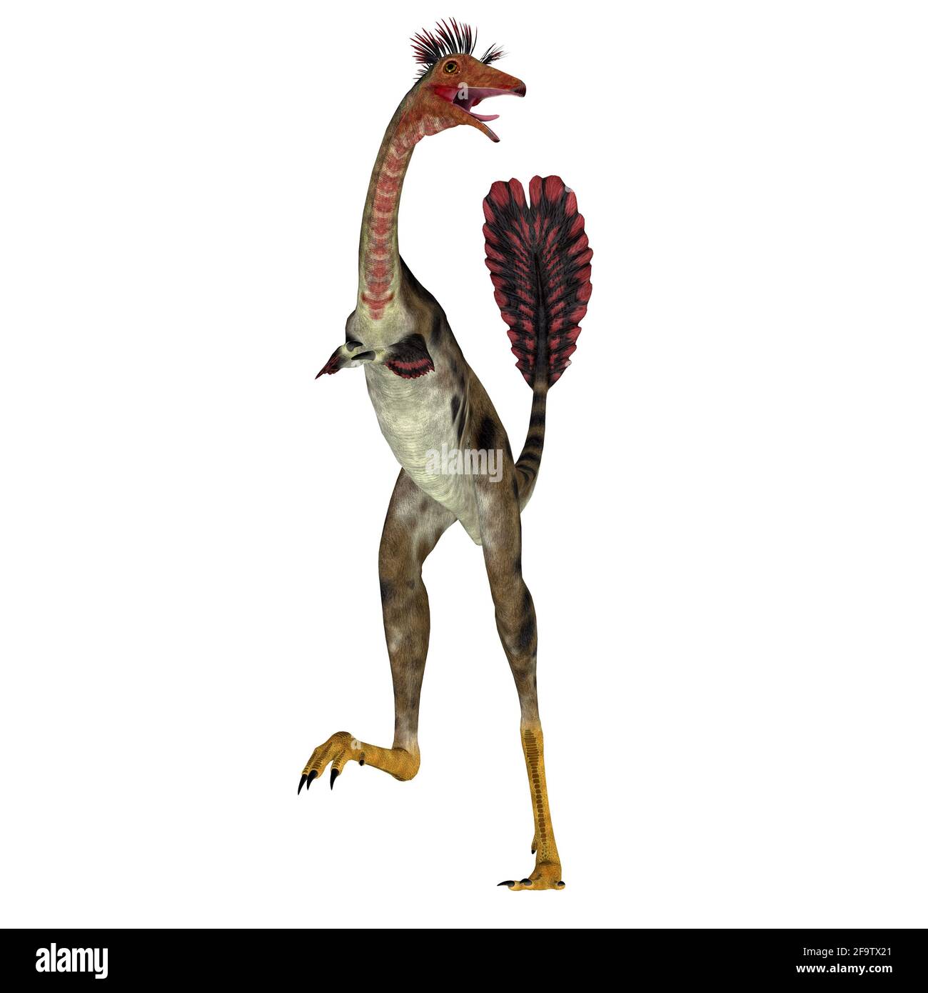 Mononykus was a carnivorous theropod dinosaur that lived in Mongolia during the Cretaceous Period. Stock Photo