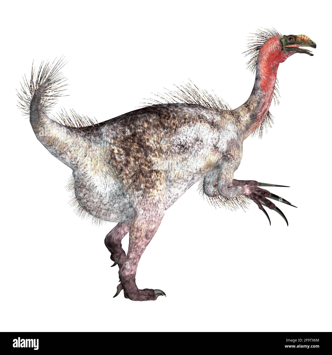 Therizinosaurus was a theropod carnivorous dinosaur that lived in Mongolia during the Cretaceous Period. Stock Photo