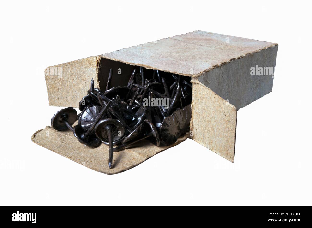 Black push pins in a gray cardboard box. Accessories for upholstery work in the workshop. Dark background. Stock Photo