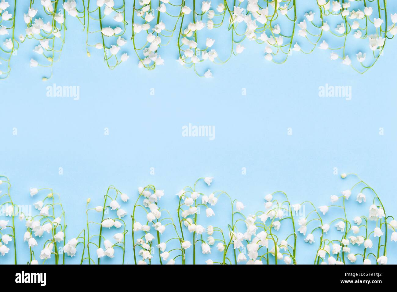 Floral frame lily flowers green hi-res stock photography and images - Alamy
