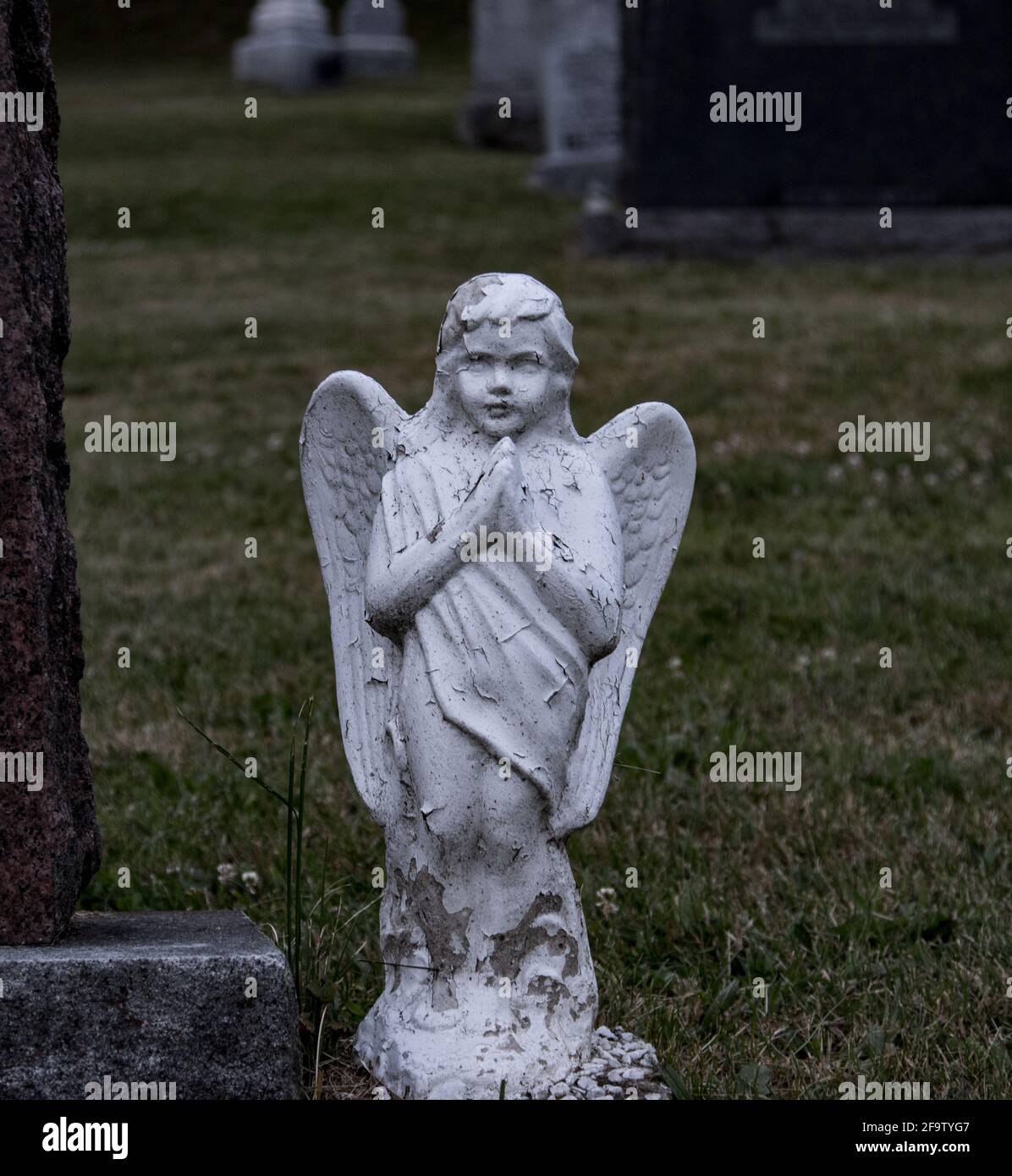 White statue of a praying young angel in a Christian church cemetery Stock Photo