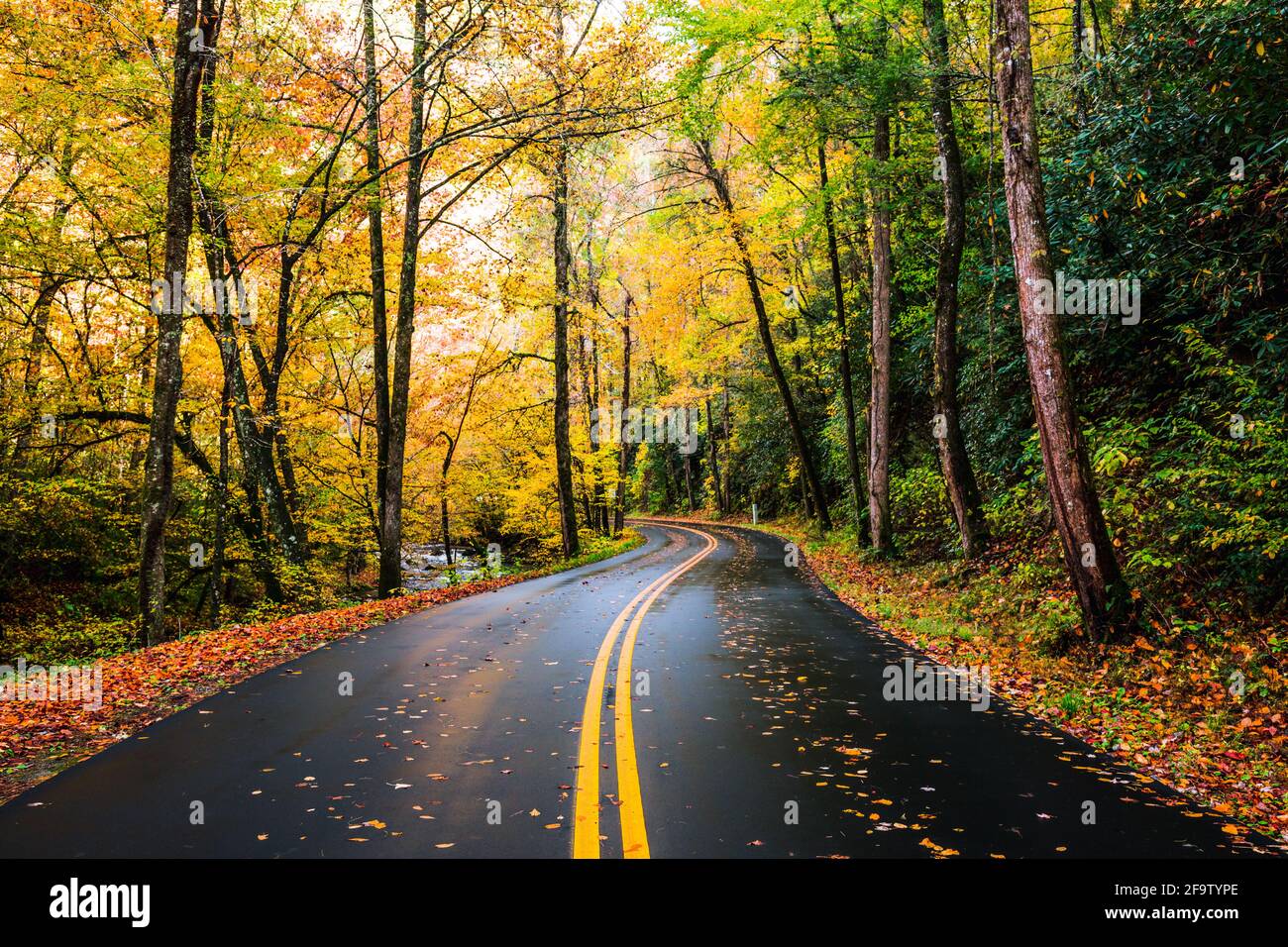 Winding roads around the Great Smoky Mountain Stock Photo Alamy