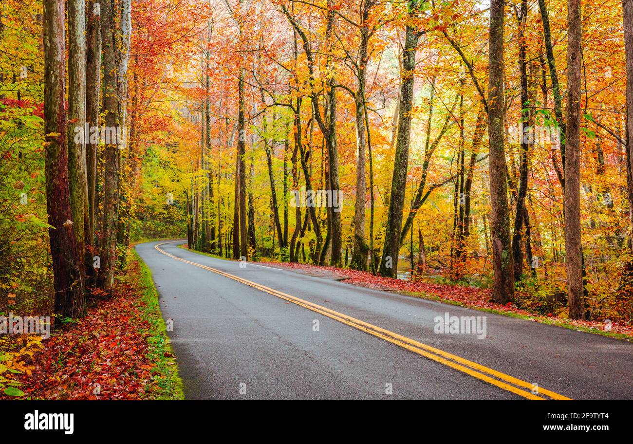 Winding roads around the Great Smoky Mountain Stock Photo - Alamy