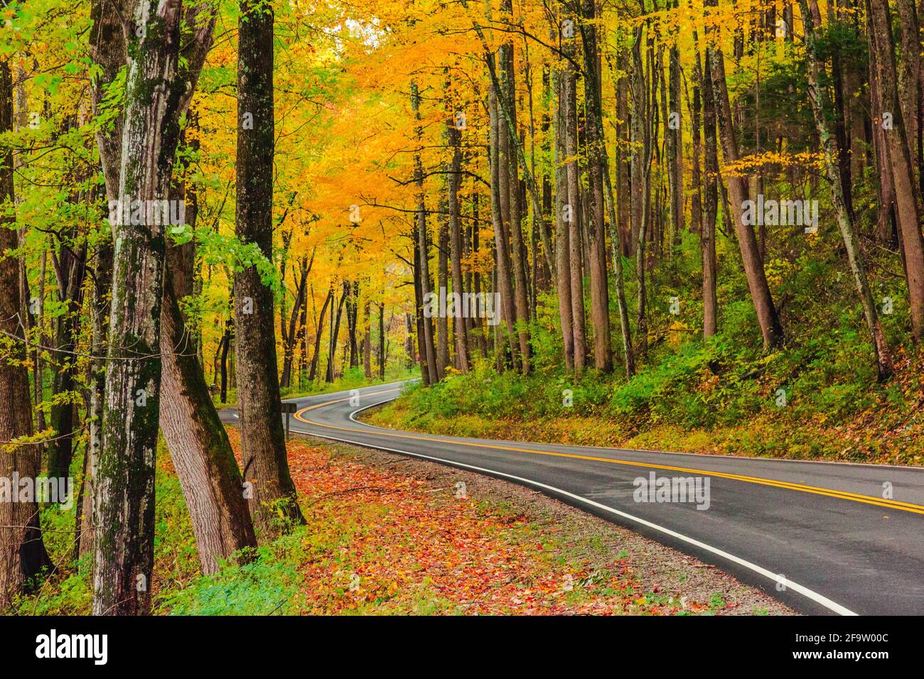 Winding roads around the Great Smoky Mountain Stock Photo Alamy