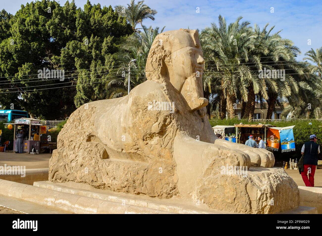 The alabaster Sphinx of Memphis outside the Temple of Ptah in the open ...