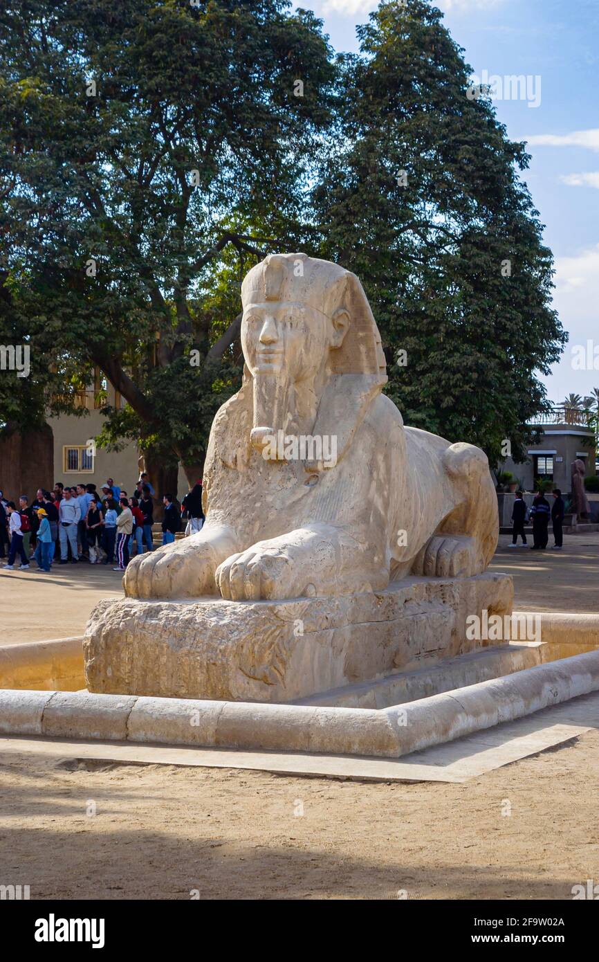 The alabaster Sphinx of Memphis outside the Temple of Ptah in the open ...
