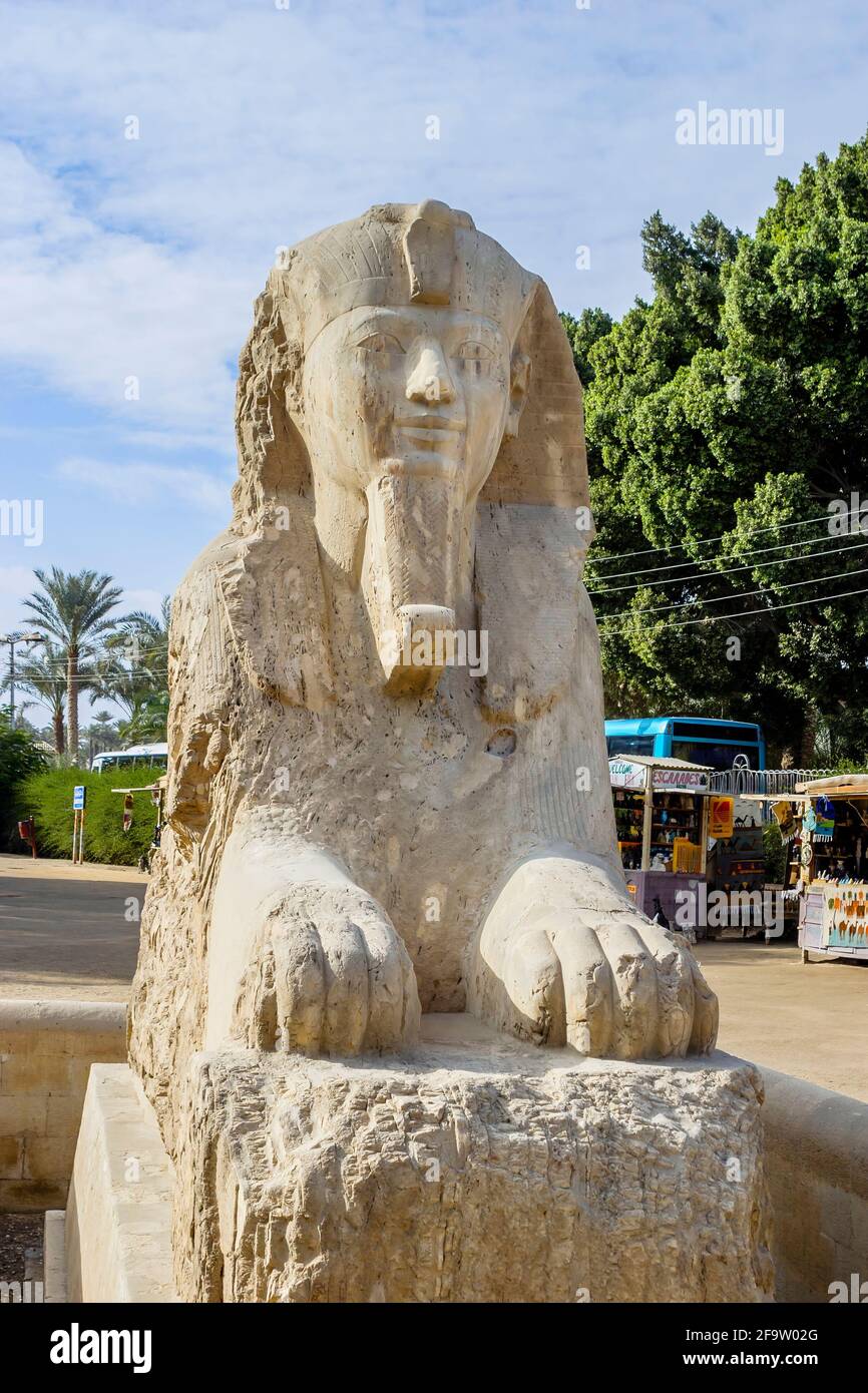 The alabaster Sphinx of Memphis outside the Temple of Ptah in the open