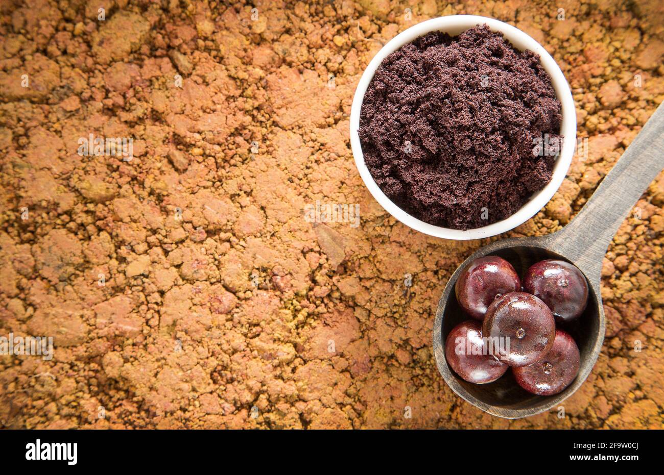 Plinia cauliflora Brazilian exotic berry jabuticaba Stock Photo Alamy