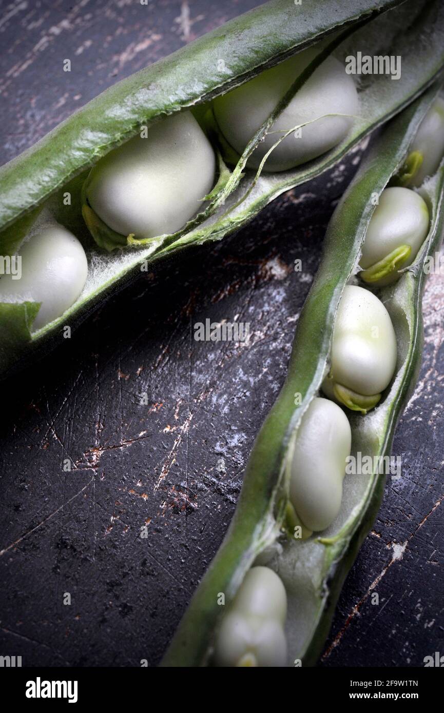 fresh broad beans in pods (vicia faba) Stock Photo