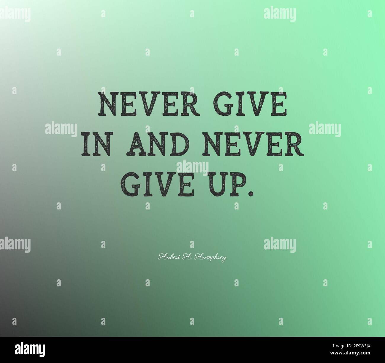 Powerful quote "Never give in and never give up" Stock Photo