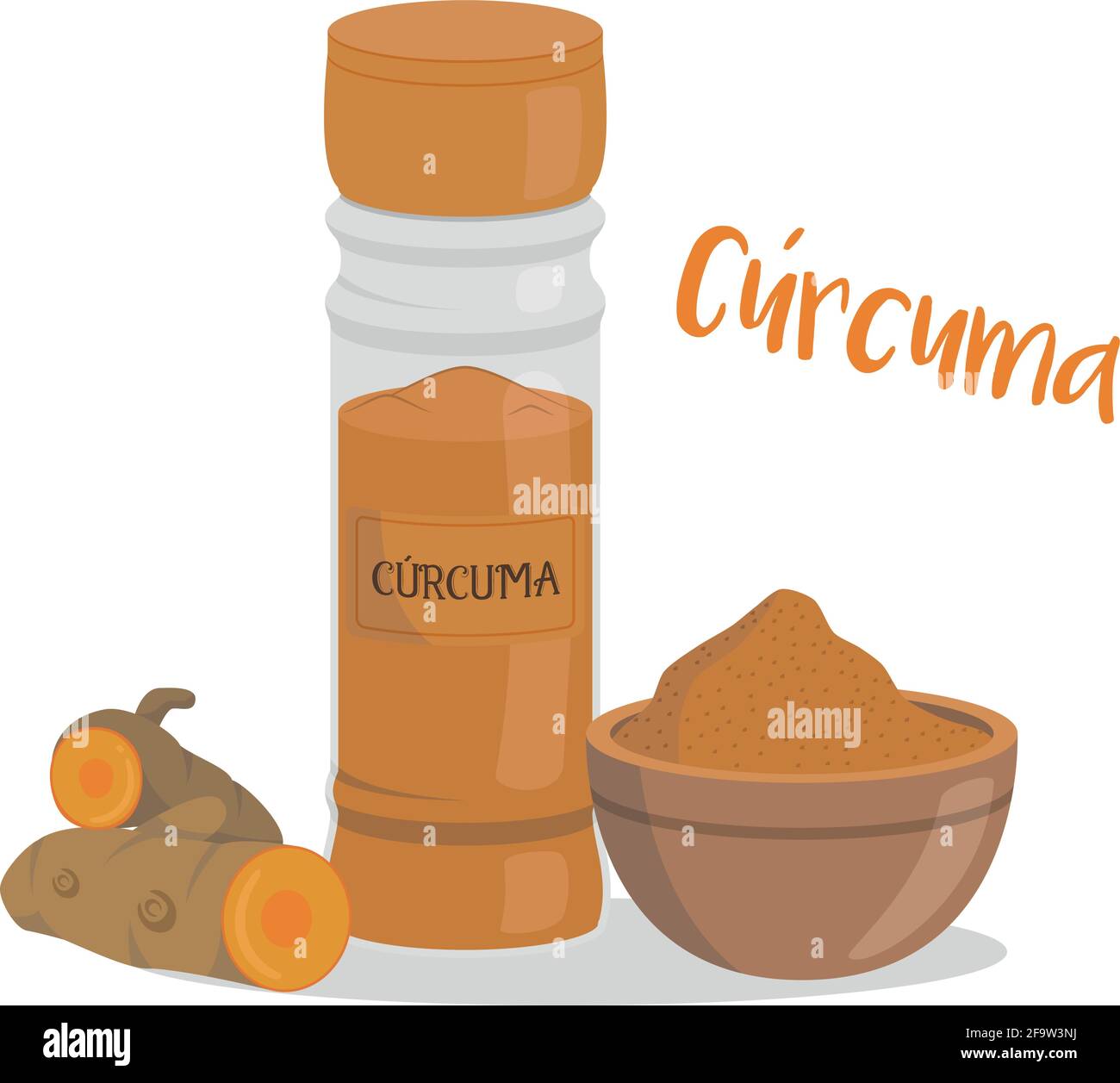 Vector turmeric illustration isolated in cartoon style. Spanish name. Herbs and Species Series
