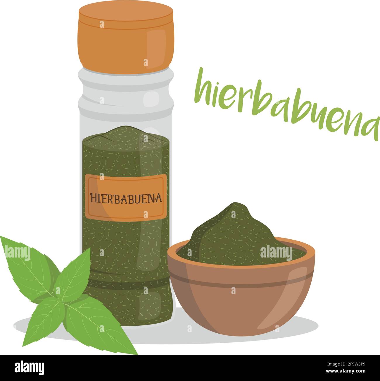 Vector peppermint illustration isolated in cartoon style. Spanish name