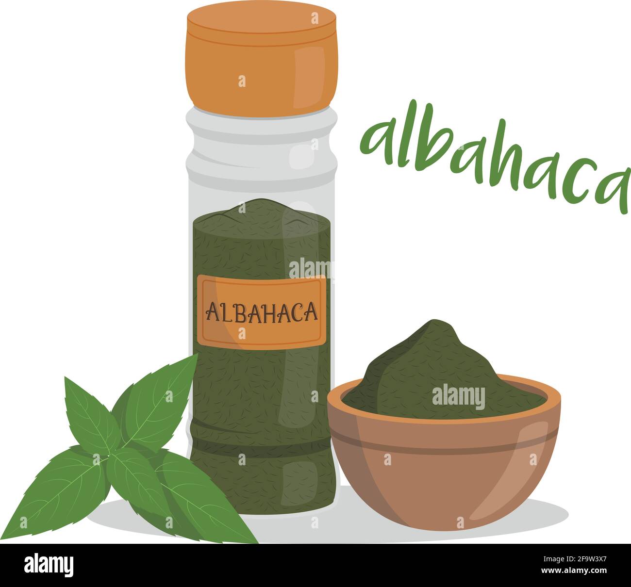 Vector basil illustration isolated in cartoon style. Spanish name