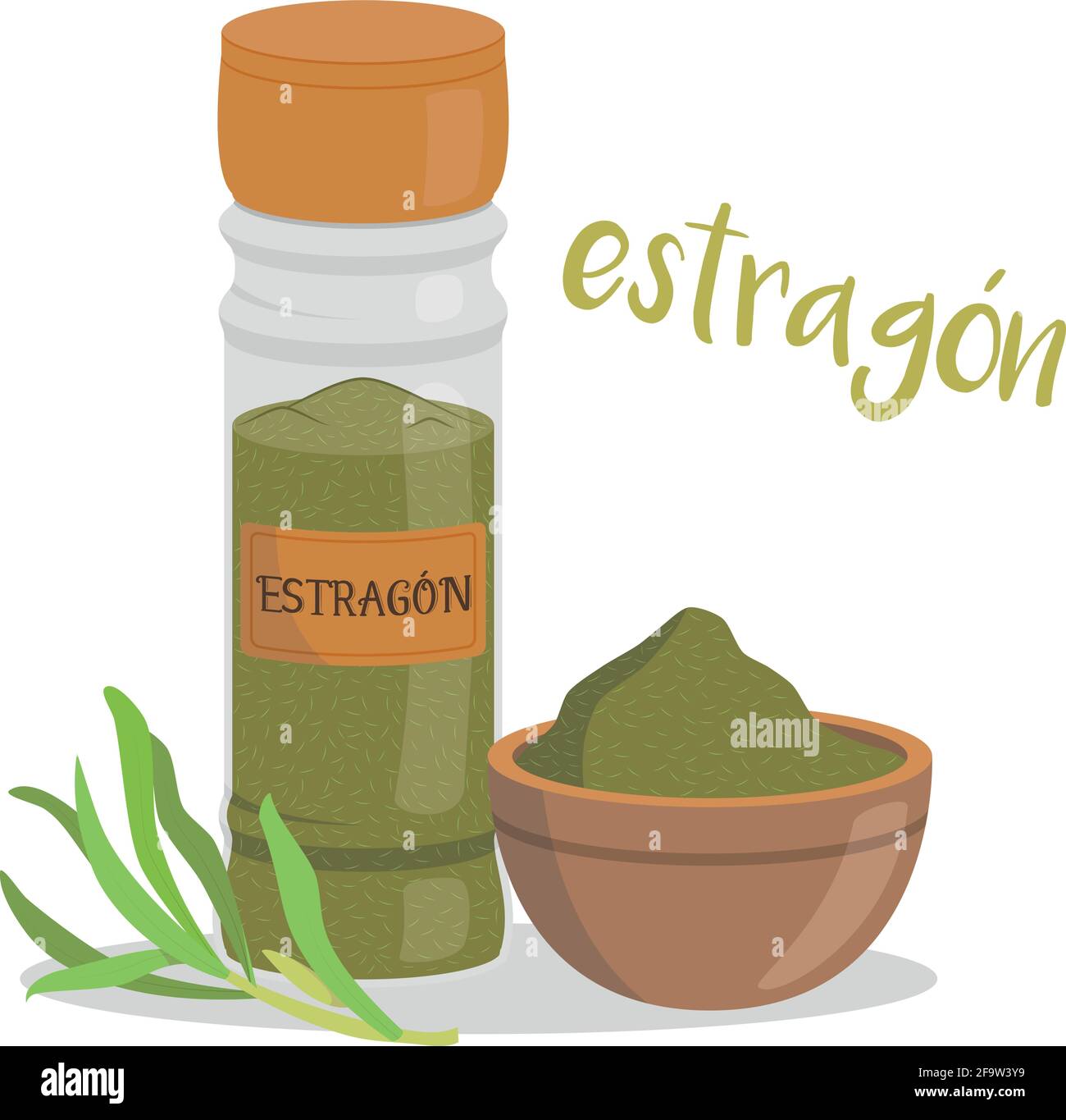 Vector tarragon illustration isolated in cartoon style. Spanish name