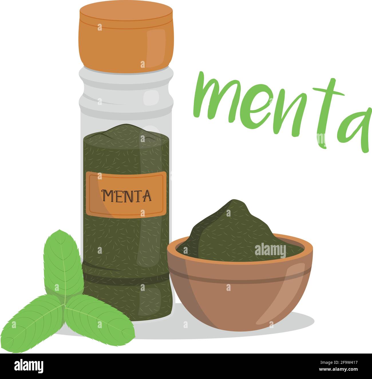 Vector mint illustration isolated in cartoon style. Spanish name. Herbs