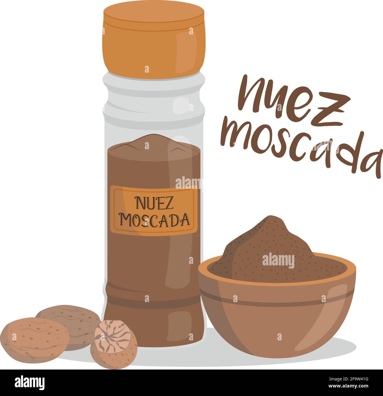 Vector nutmeg illustration isolated in cartoon style. Spanish name