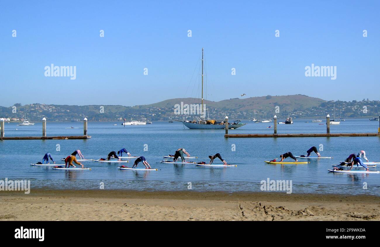 SUP paddle board class exercise yoga on san francisco bay in Sausalito California usa Stock Photo