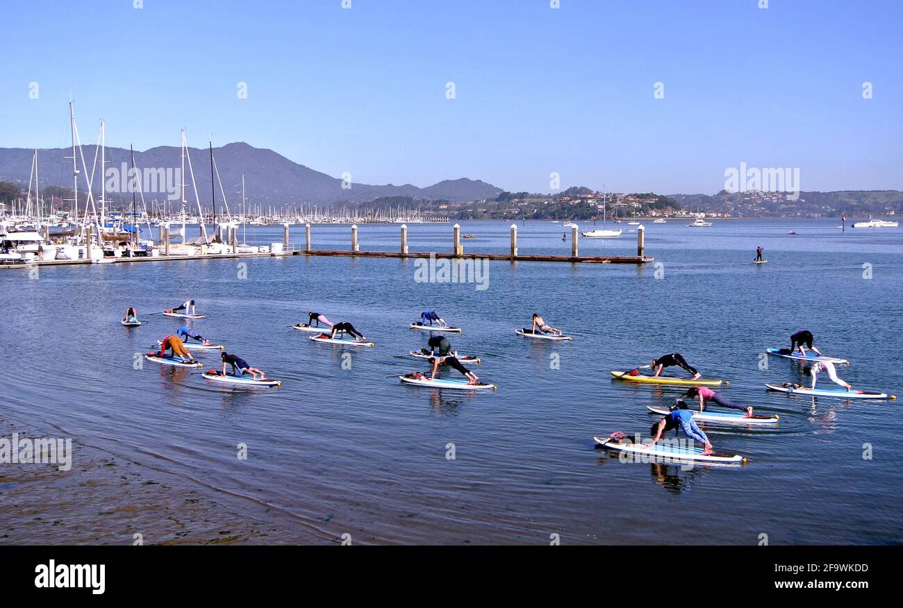 SUP paddle board class exercise yoga on san francisco bay in Sausalito California usa Stock Photo