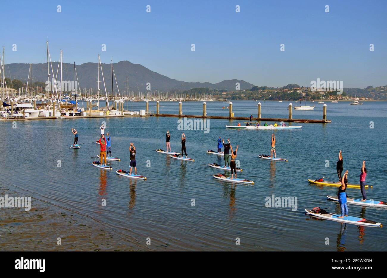 SUP paddle board class exercise yoga on san francisco bay in Sausalito California usa Stock Photo