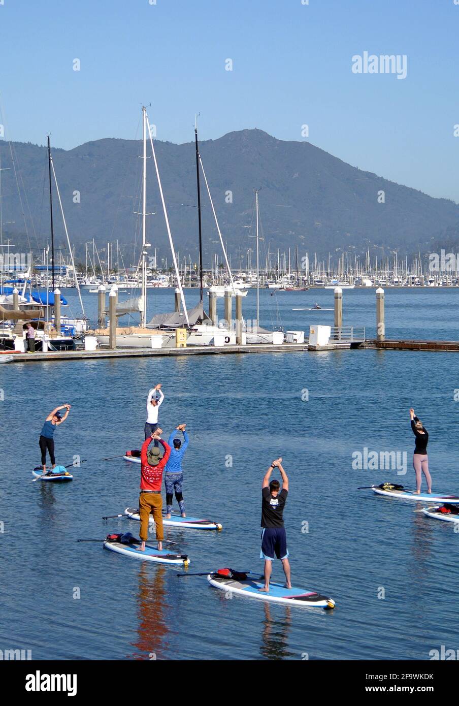 SUP paddle board class exercise yoga on san francisco bay in Sausalito California usa Stock Photo