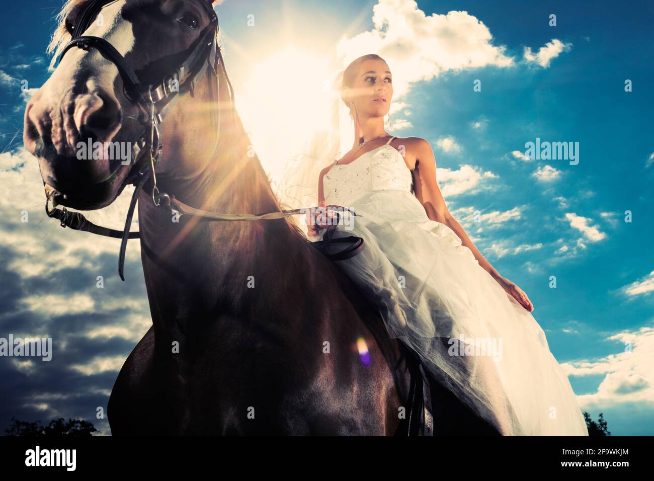 Young Bride in wedding dress riding a horse, backlit picture, dreamy mood Stock Photo
