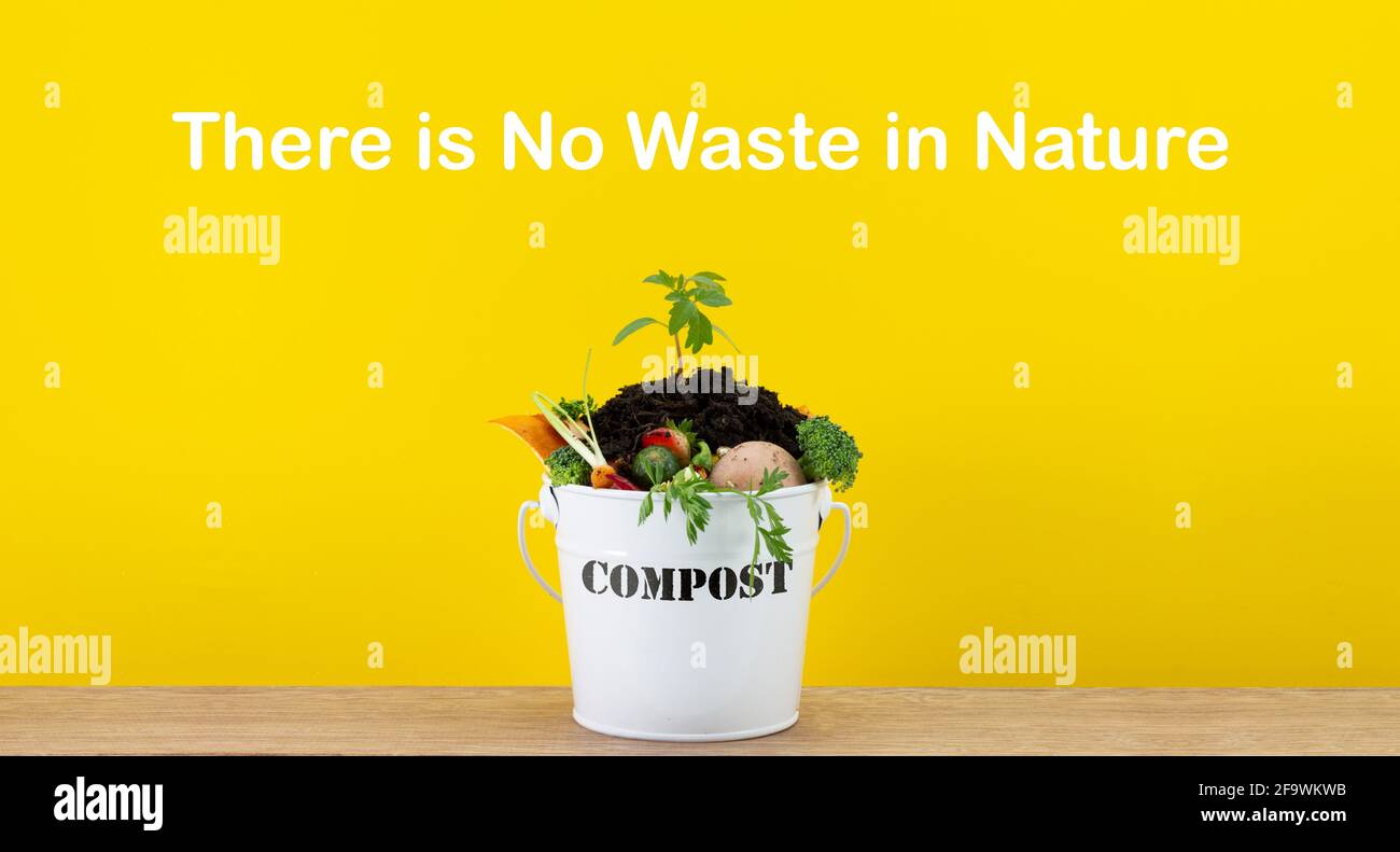 Kitchen compost bucket containing kitchen food waste with plant growing in top, no waste in nature text, recycle food waste by composting and growing Stock Photo