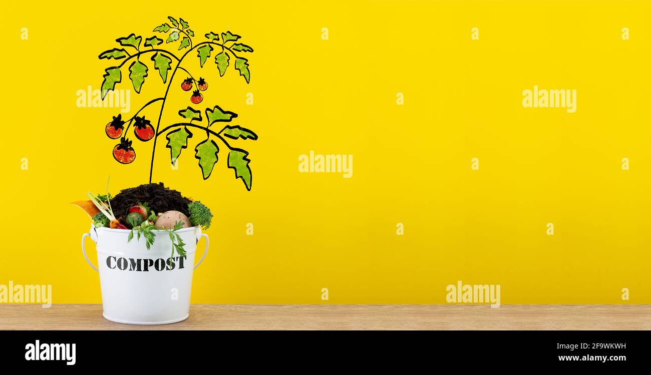Kitchen compost bucket containing kitchen food waste with hand drawn tomato plant growing, recycle food waste by composting and growing your own food Stock Photo