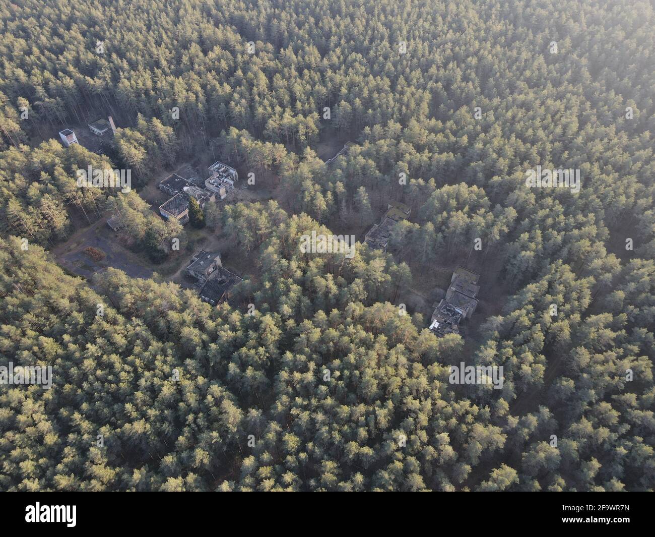 Aerial view of a beautiful forest with dense green trees Stock Photo ...