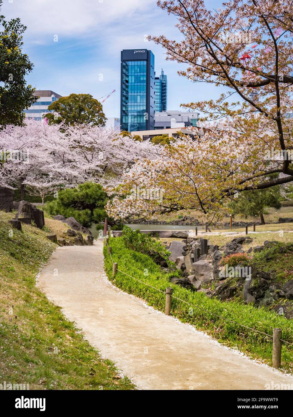 5 April 2019: Tokyo, Japan - Path and cherry blossom in Kyu-Shiba-rikyu Gardens, a traditional style landscape garden in central Tokyo. Stock Photo
