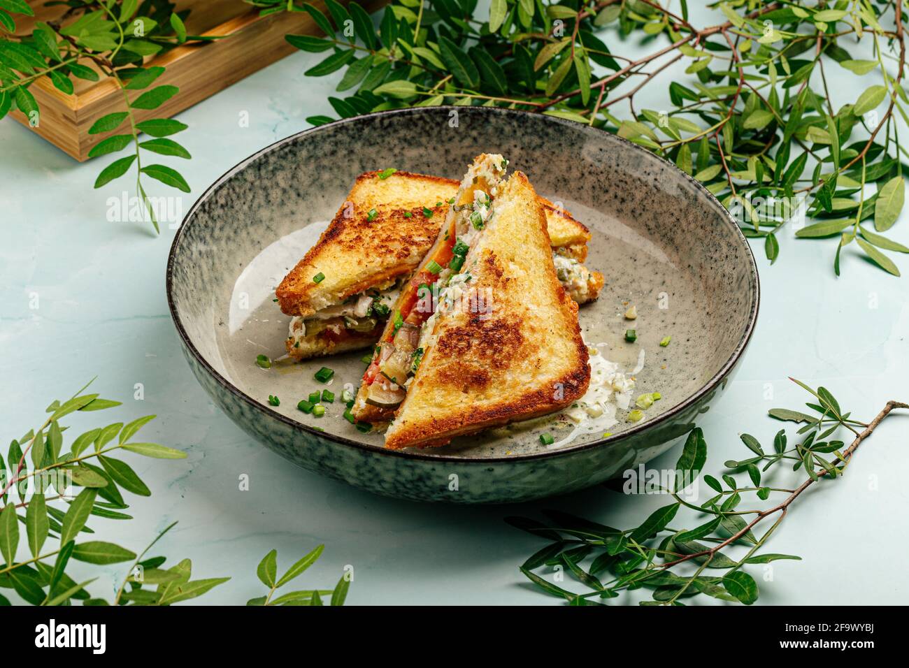 Gourmet appetizing breakfast sandwiches Stock Photo