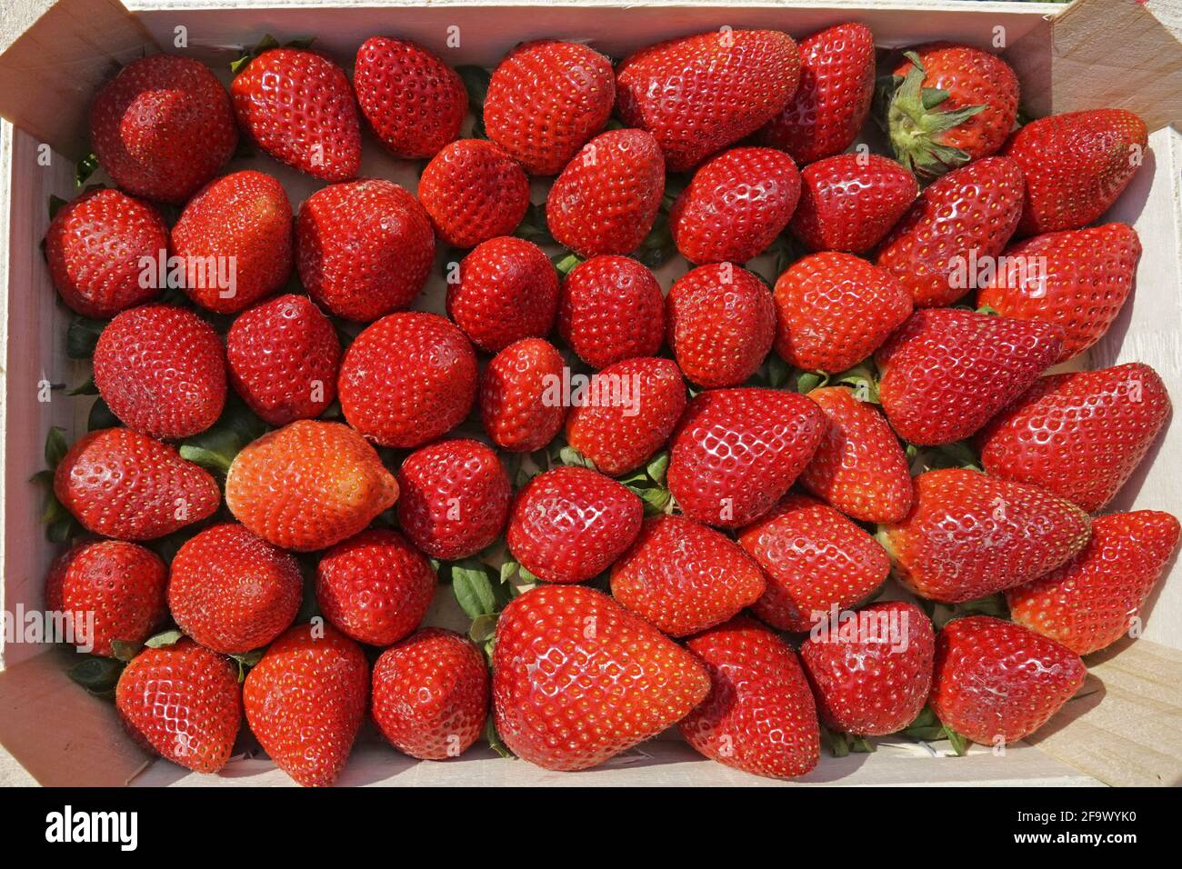A wooden box filled with strawberries Stock Photo