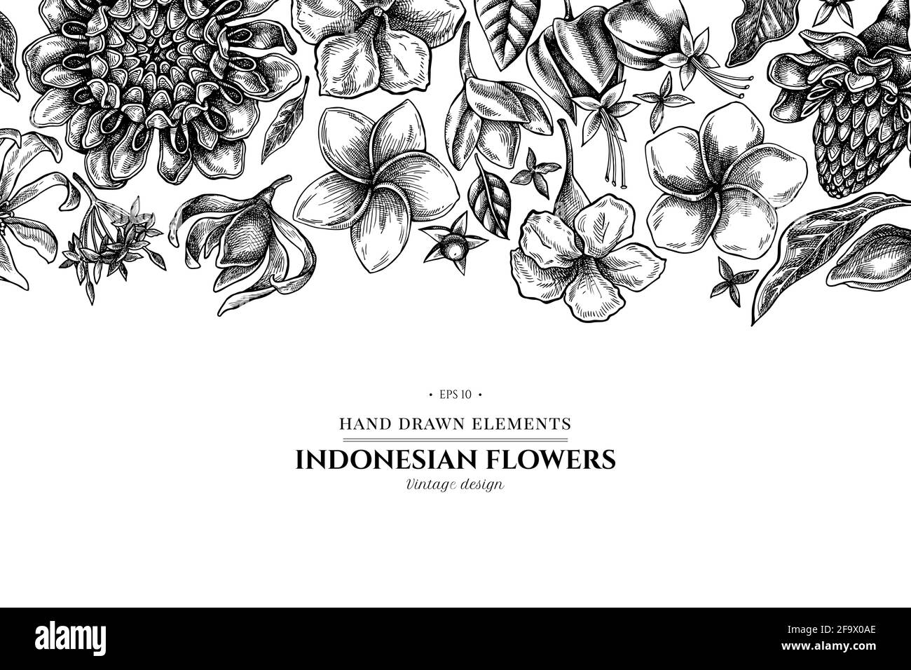 Floral design with black and white plumeria, allamanda, clerodendrum, champak, etlingera, ixora Stock Vector