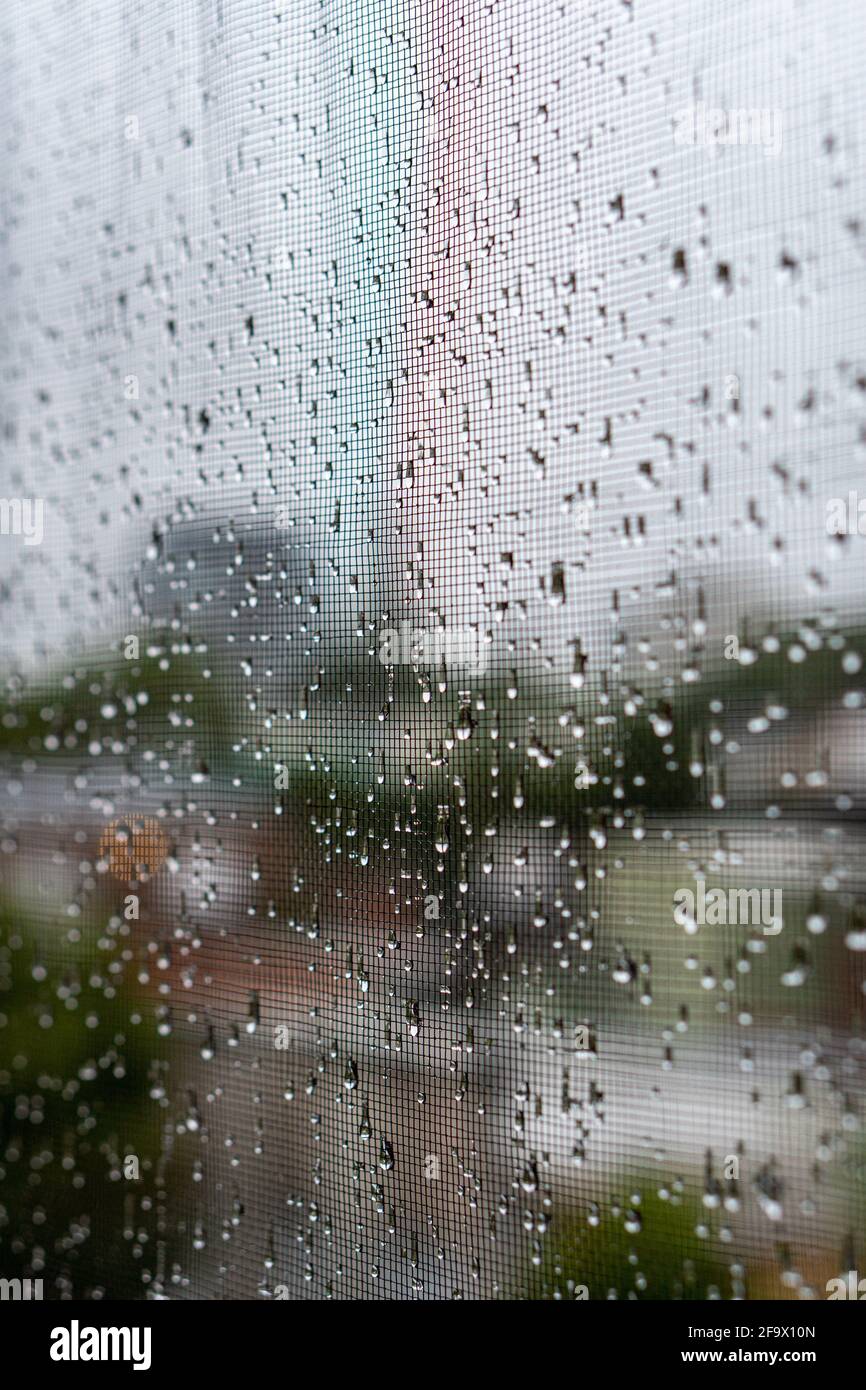 Clean Raining On Window Closeup of the fresh clean rain droplets on the window screen Stock ...